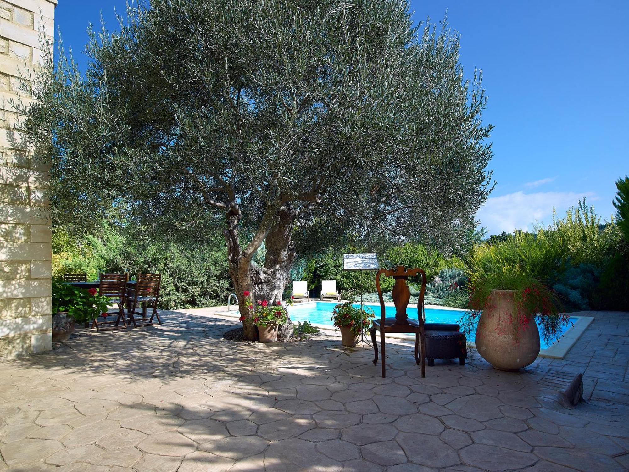 Vederi Estate Villa Room photo